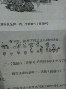 琵琶行中的字词 求剩下的拼音