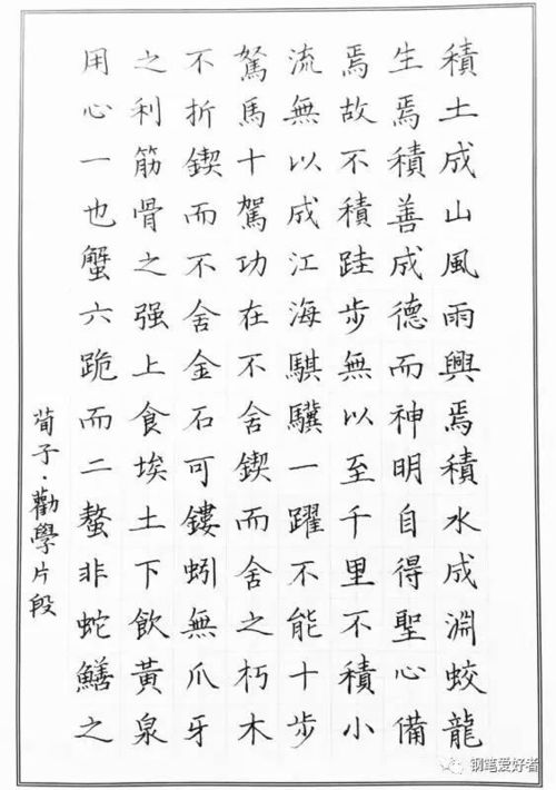 白居易 琵琶行 片段手写钢笔字笔友钢笔书法习作欣赏