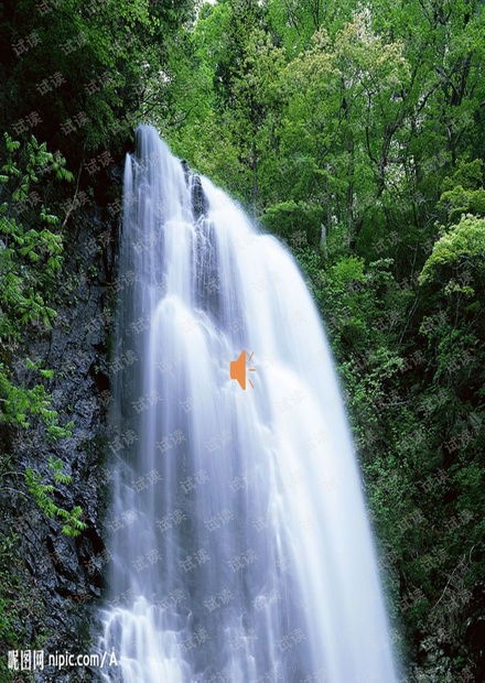 《琵琶行》教学课件资源 CSDN文库深度解析