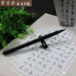 八十八岁忆文徵明 读《琵琶行》有感