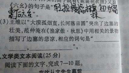 《琵琶行》中的琵琶演奏艺术 动作、曲目与情感表达