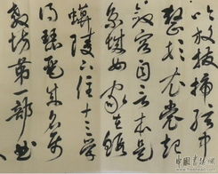 新年献礼 草书长卷《琵琶行》的艺术回响